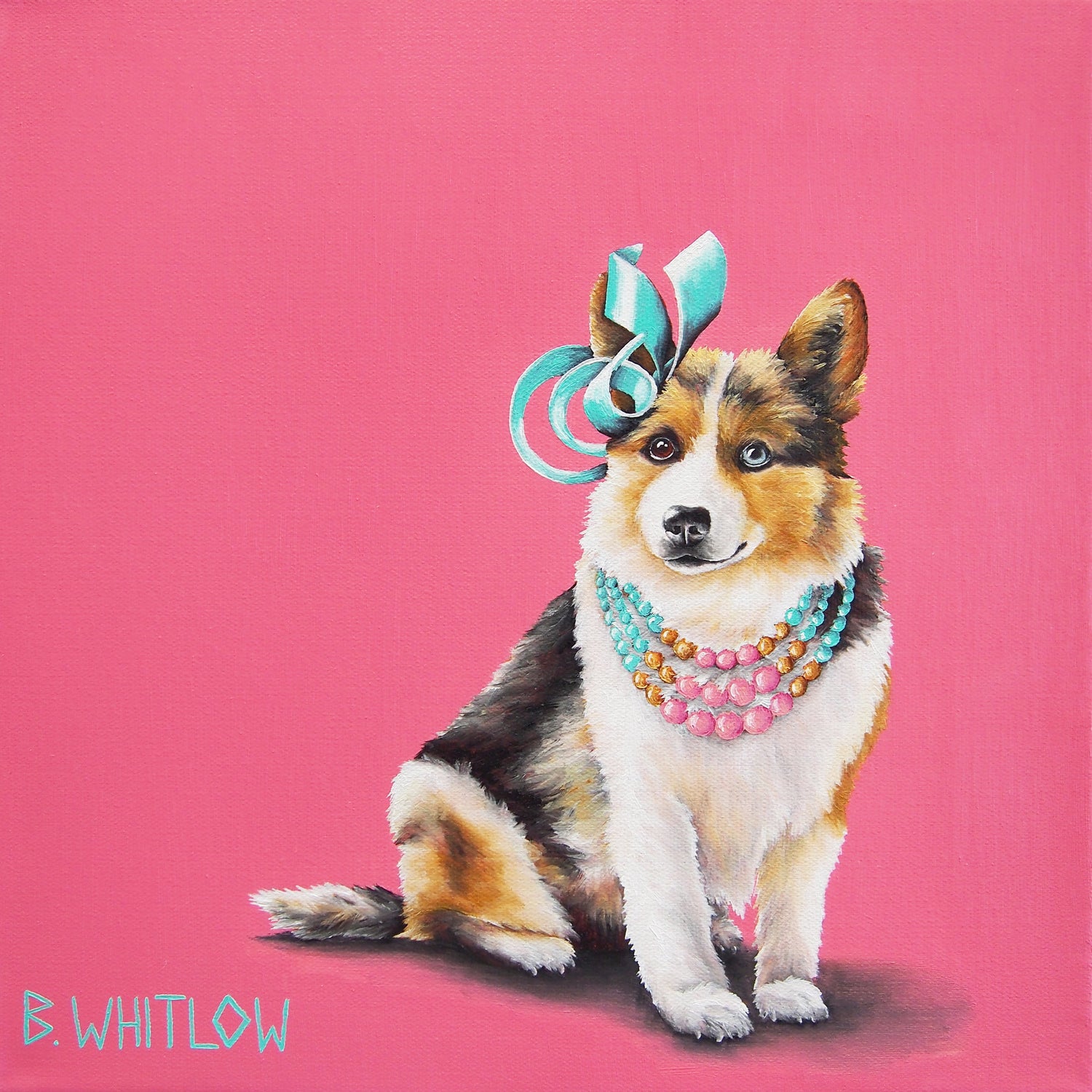 Biscuit the Corgi Mix