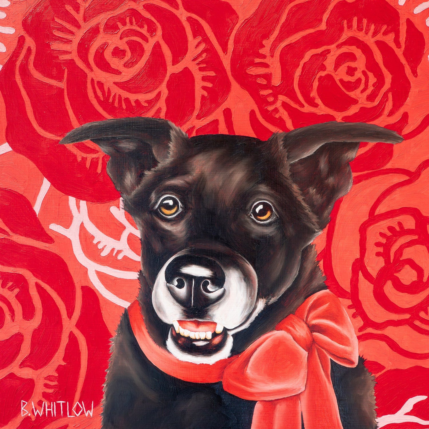 Stella in Bloom