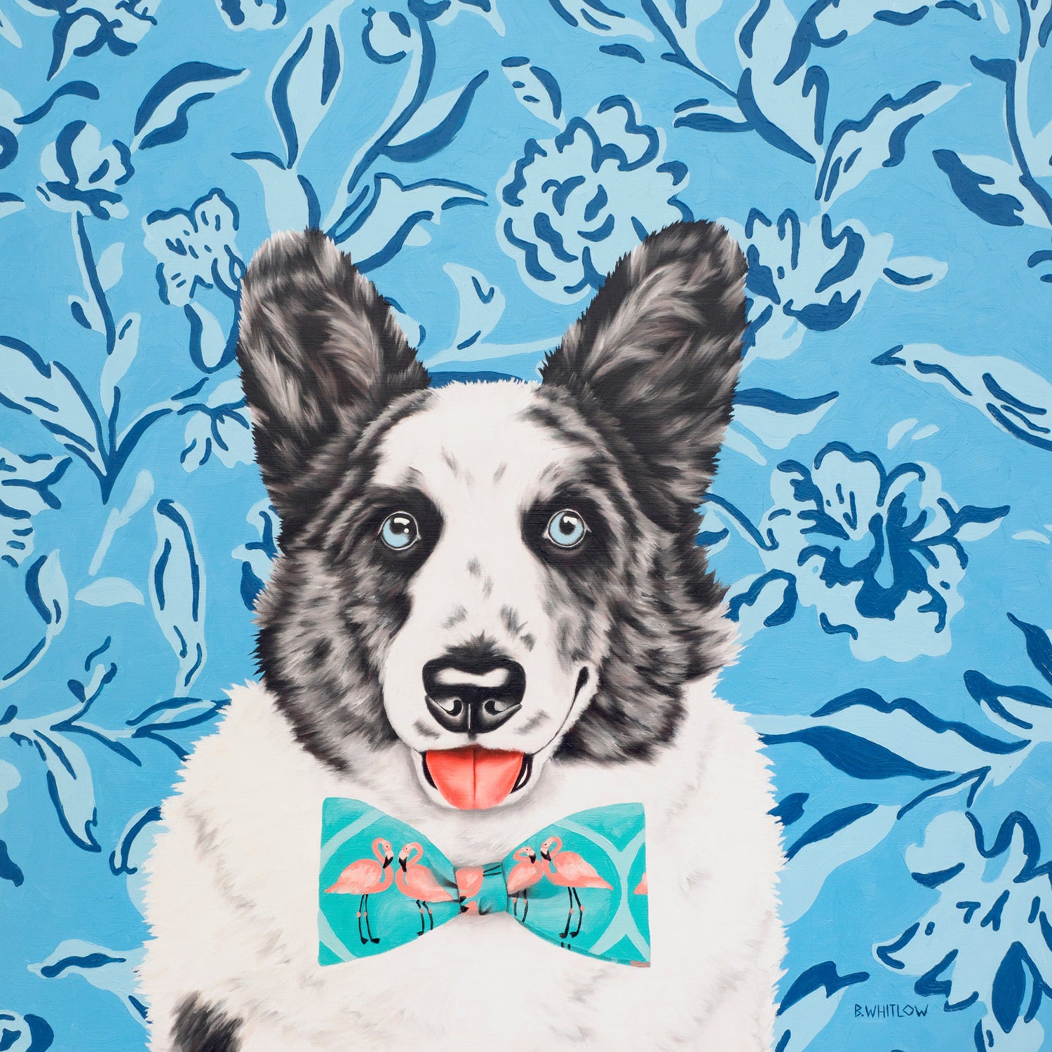 Tom the Corgi