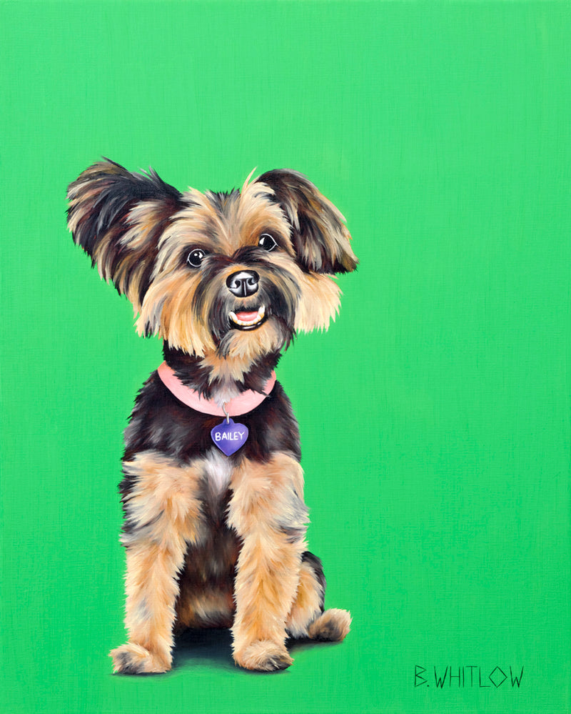 Illustration of a small dog with a pink collar on a green background