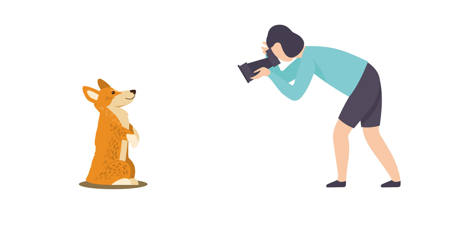 Illustration of a person taking a photo of a dog with a camera.