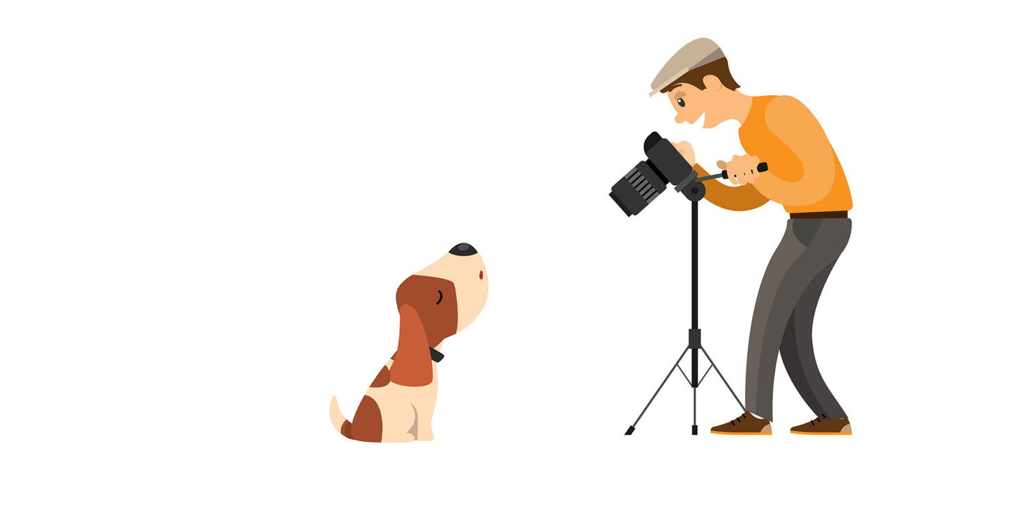 Illustration of a person with a camera and tripod next to a dog on a white background