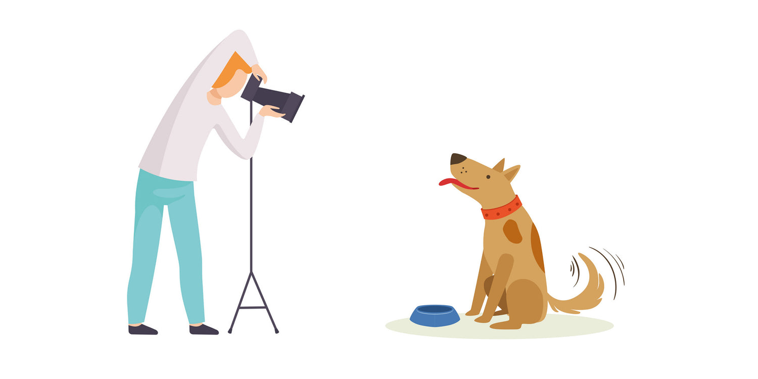 Illustration of a person taking a photo of a dog with a camera.