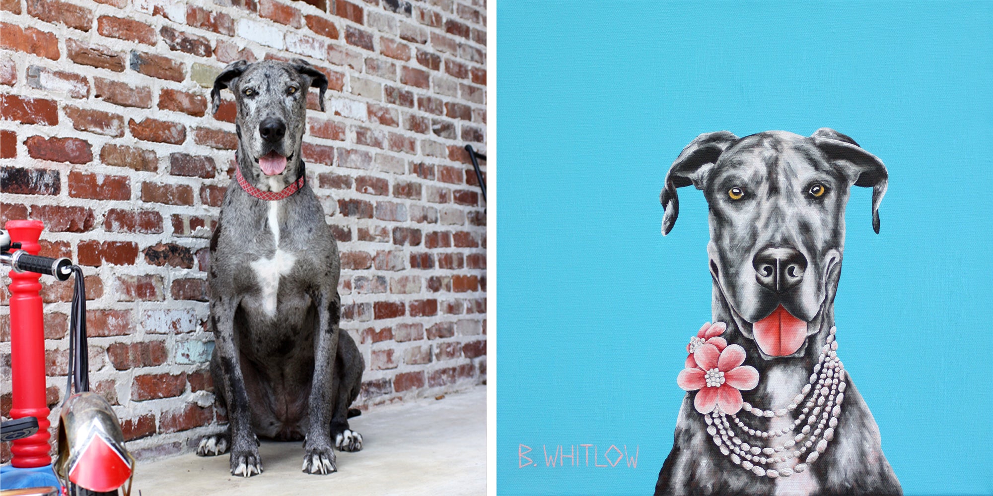 Dog in front of a brick wall next to a stylized illustration of the same dog on a blue background.