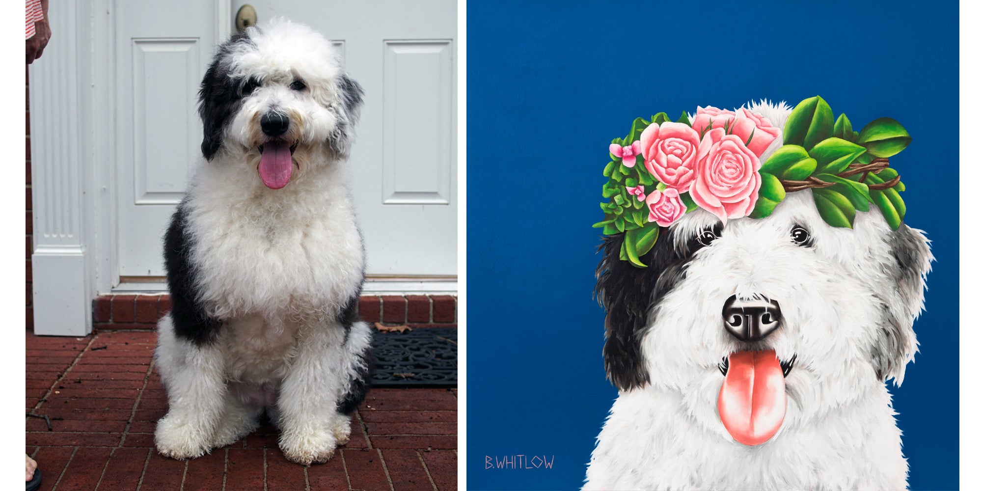 Real-life dog on the left and digitally altered dog with a flower crown on the right.