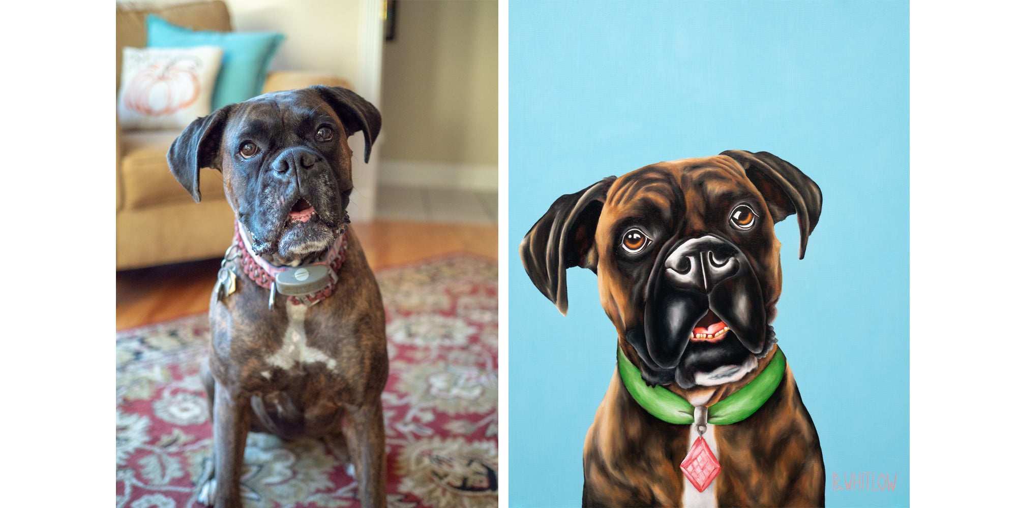 Real-life dog on the left and a painted portrait of the same dog on the right.