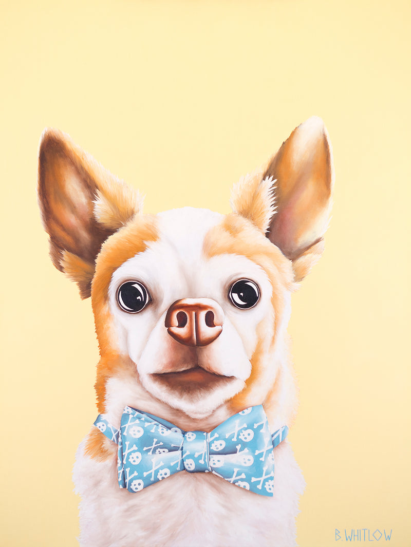 Dog wearing a blue bow tie on a yellow background