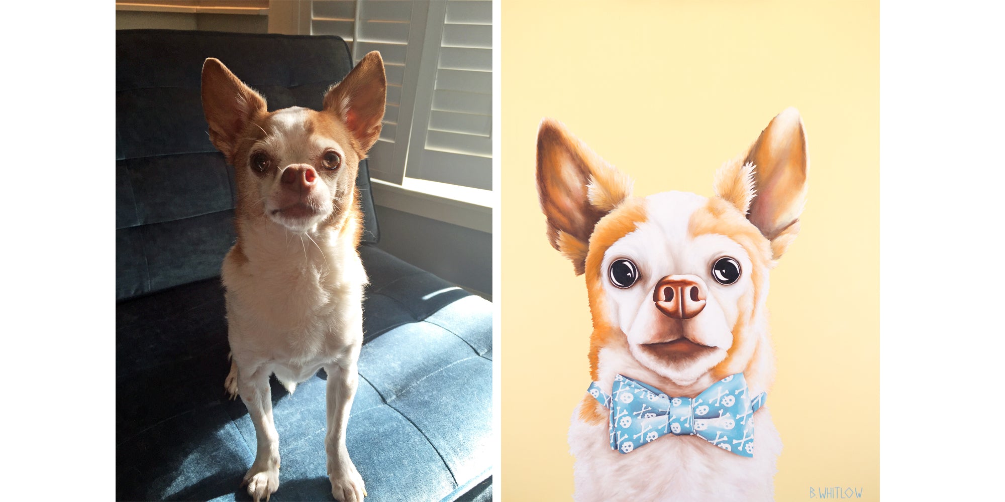 Side-by-side comparison of a real dog and its painted counterpart on a yellow background.