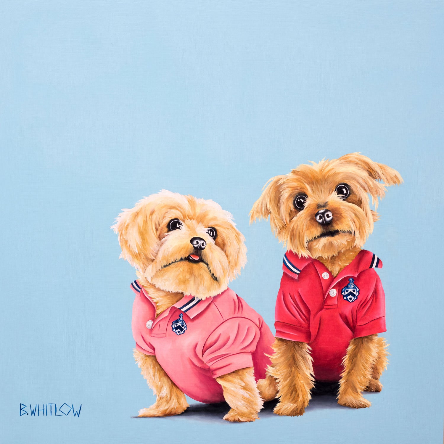 Two small dogs wearing red and pink outfits with a blue background and humorous text.